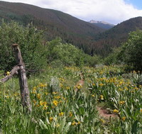 Stag Gulch near Cordillera, Edwards, Colorado