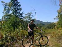 AndrewMouseBranch-sm.jpg (31315 bytes)