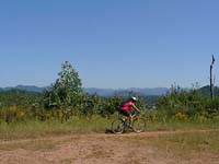 ColleenMouseBranch.jpg (10914 bytes)