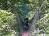 WCTSuspendedBridge.jpg (282678 bytes)