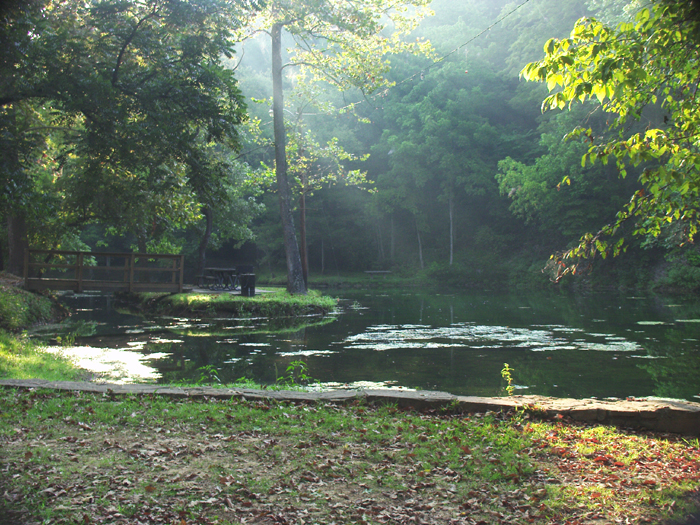 04 - AR - Withrow Springs - Pond