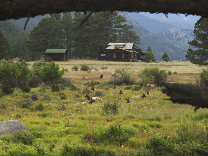 17 - CO - Rocky Mtn NP - Moraine Park