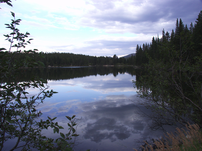 20 - CO - Rocky Mtn NP - Bear Lake Reflections