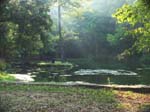 04 - AR - Withrow Springs - Pond