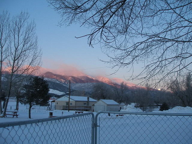 2007-02-02 Bighorn Sheep Canyon 01