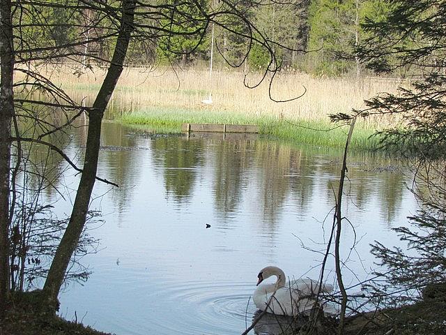 Germany Slideshow 0058