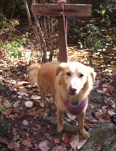 2002-12-01(2)