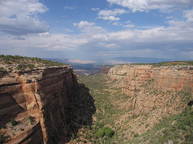 2006-07-01 Colorado National Monument 03