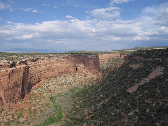 2006-07-01 Colorado National Monument 04