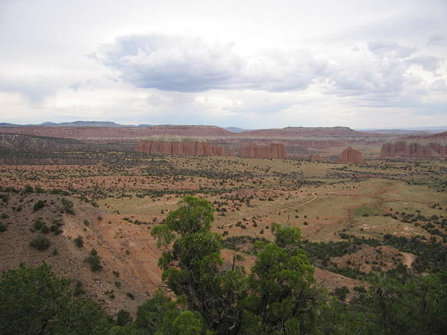 2006-07-02 Capitol Reef National Monument 57