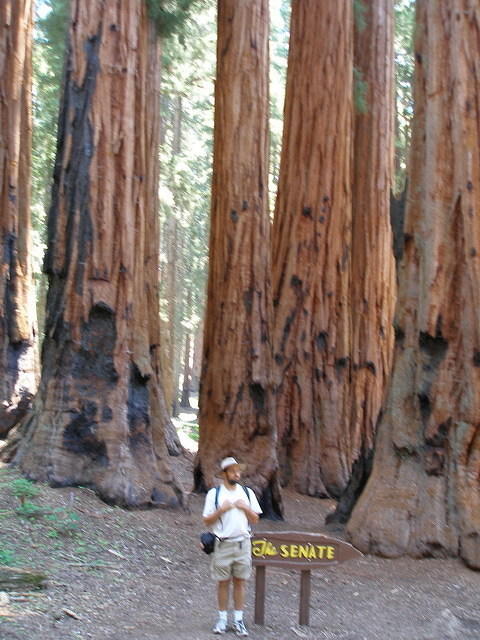 2006-07-14 Kings Canyon-Sequoia NP, CA 48