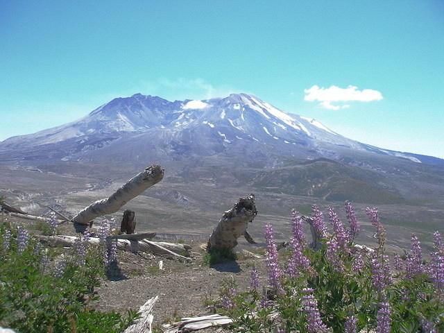 2006-07-27 Mount St Helen's National Monument, WA 08