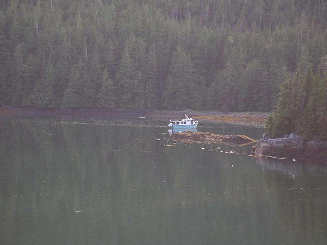 2006-08-08 Malaspina Ferry 084