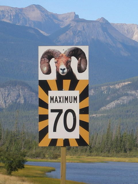 2006-08-28 Jasper National Park, Alberta, Canada 002