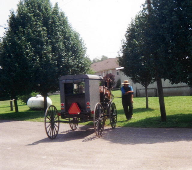 2002c-Amish buggy in Kentucky2