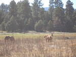 2006-10-18 Big Horn RV Park 09