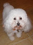 2006-11-23 Thanksgiving 03