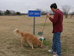 2006-12-29 Back to CO 05