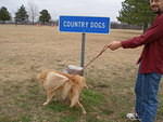 2006-12-29 Back to CO 06