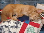 2007-01-09 Simon in Coaldale, CO 03