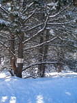 2007-01-15 Spruce Basin and Coaldale 07