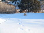 2007-01-15 Spruce Basin and Coaldale 15