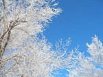2007-01-22 Coaldale 06
