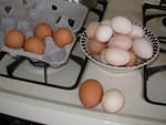 2007-03-18 Life at the farmhouse, Salida 15