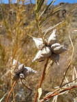 2007-10-27 Taos hike 011