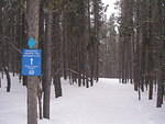 2008-02-23 Leadville  Snowshoe