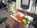 2006-01-09 thru 01-23 Colbert's Fish Camp 24