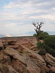 2006-07-01 Colorado National Monument 11
