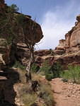 2006-07-02 Capitol Reef National Monument 10