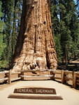 2006-07-14 Kings Canyon-Sequoia NP, CA 37