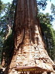 2006-07-14 Kings Canyon-Sequoia NP, CA 49