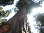 2006-07-14 Kings Canyon-Sequoia NP, CA 53