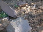 2006-07-22 Crater Lake, OR 20