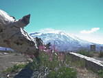 2006-07-27 Mount St Helen's National Monument, WA 07