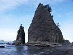 2006-07-30 Olympic National Park, WA