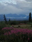 2006-08-19 Along the Glenn Highway, AK 05