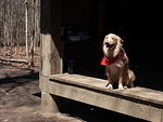 01-AT hike at Hightower Gap