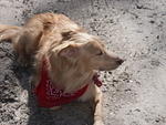 07-AT hike at Hightower Gap