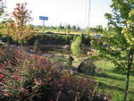 001-Glenwood Park-Retension Pond is Community water feature