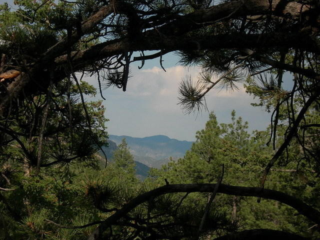 2006-06-29 Spruce Basin and Salida with Ellen 07