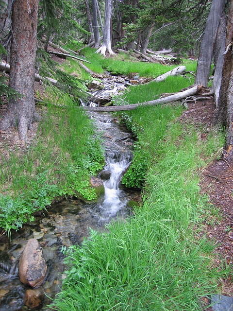 2006-07-05 Great Basin National Monument 83