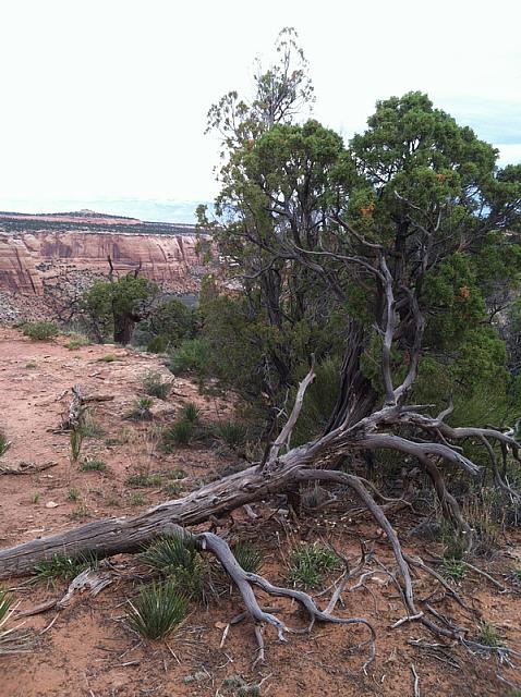 2013-09-21 Grand Junction- Fruita trip 013