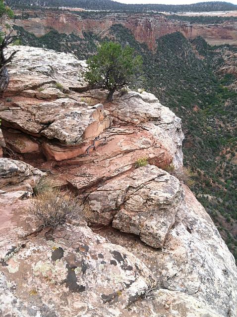 2013-09-21 Grand Junction- Fruita trip 018