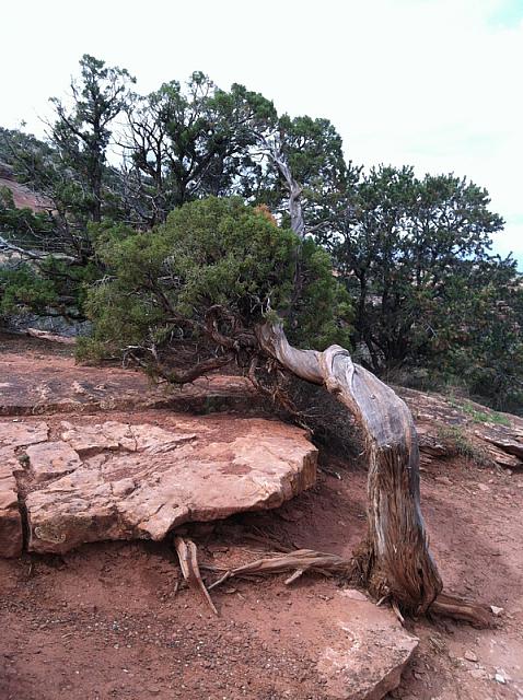2013-09-21 Grand Junction- Fruita trip 054