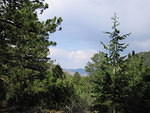 2006-06-29 Spruce Basin and Salida with Ellen 06