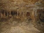 2006-07-05 Great Basin National Monument 10